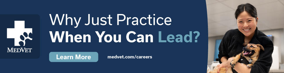 Cle WebsiteAd_728x90